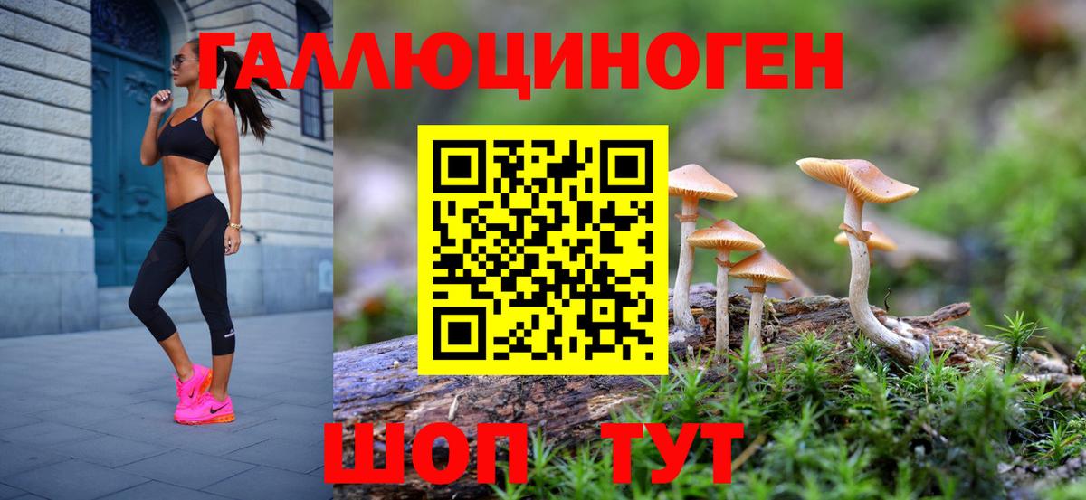 Галлюциногенные грибы GOLDEN TEACHER  Вход с VPN  Нефтекумск 